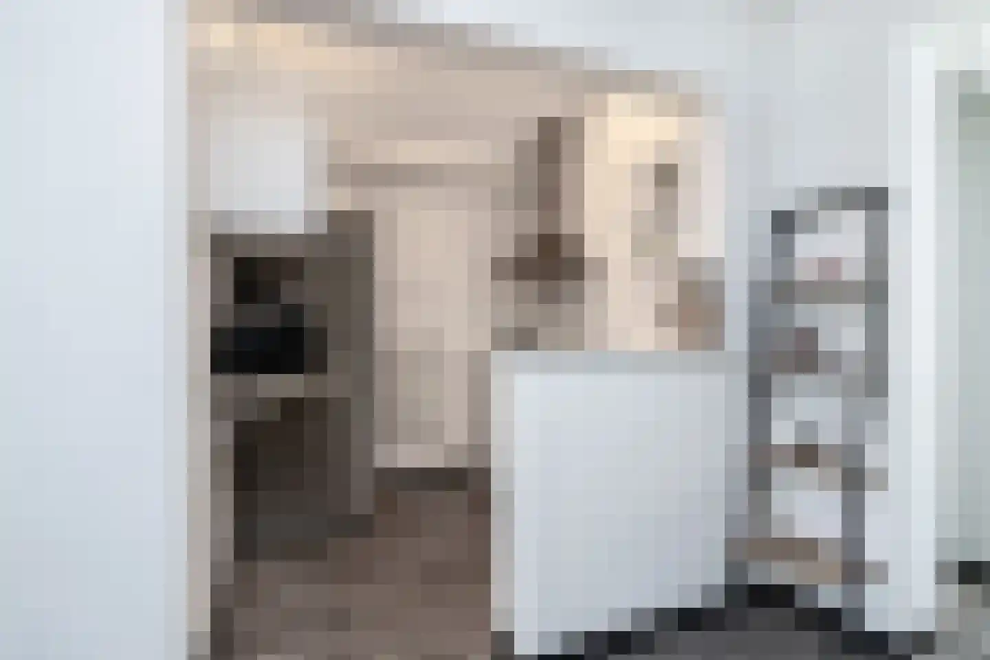 Oostdijk 67 Middelharnis thumbnail 9