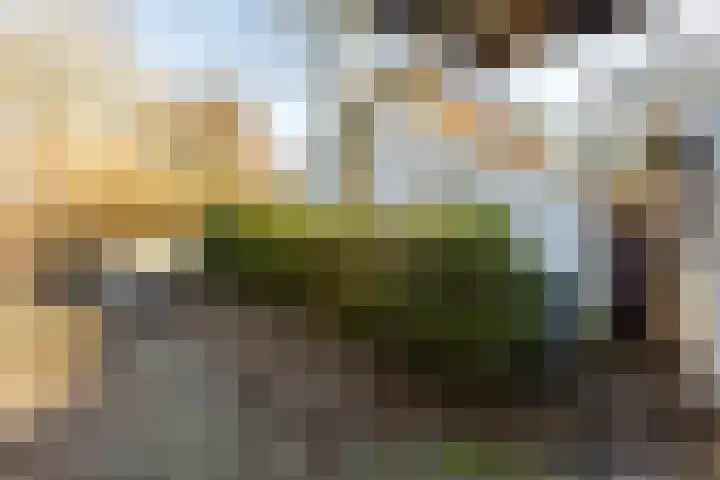 Oostdijk 80 Hellevoetsluis thumbnail 5