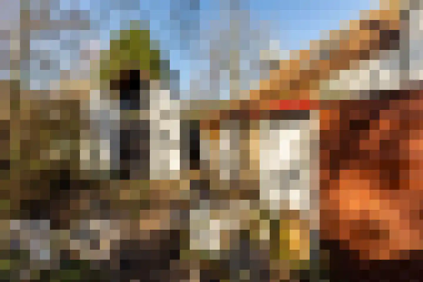 Oostdijk 80 Hellevoetsluis thumbnail 8