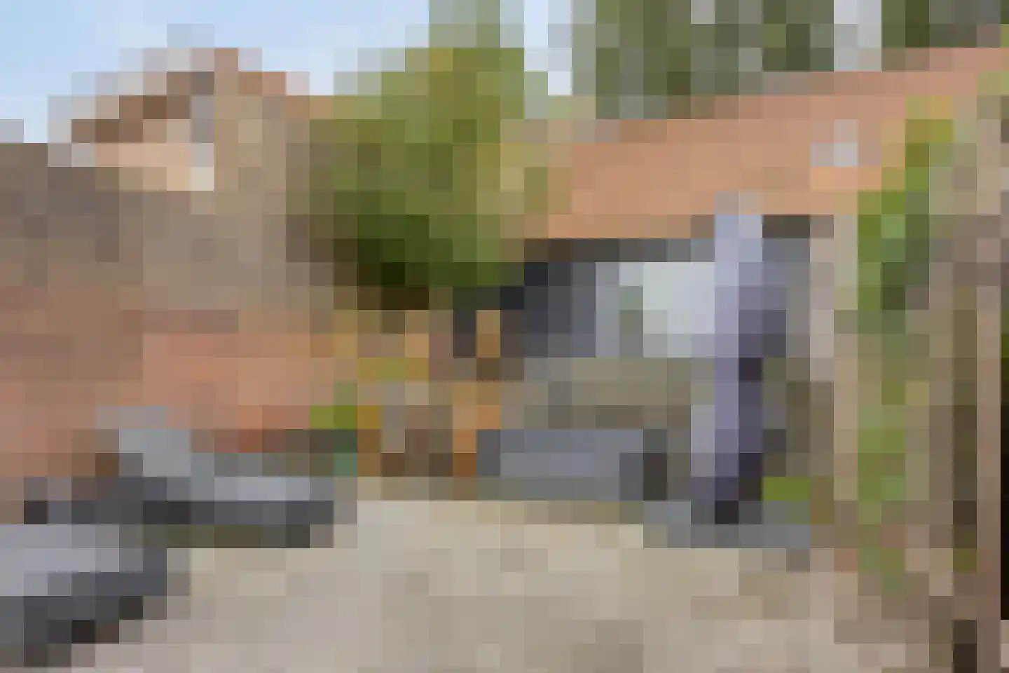 Oostdijk 85 Middelharnis thumbnail 23