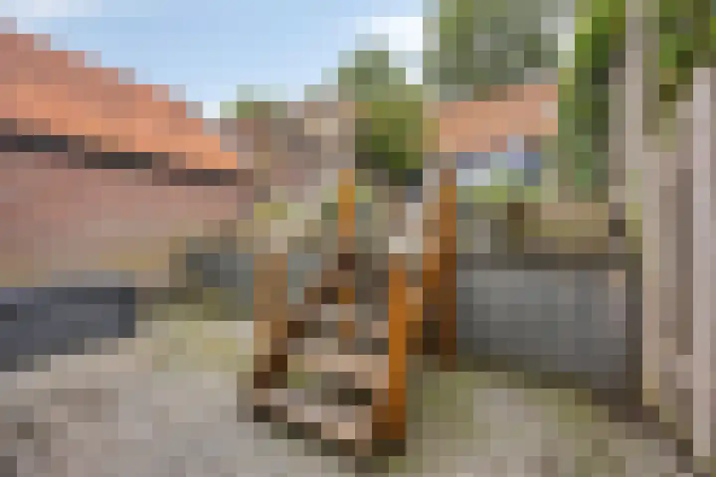 Oostdijk 85 Middelharnis thumbnail 24