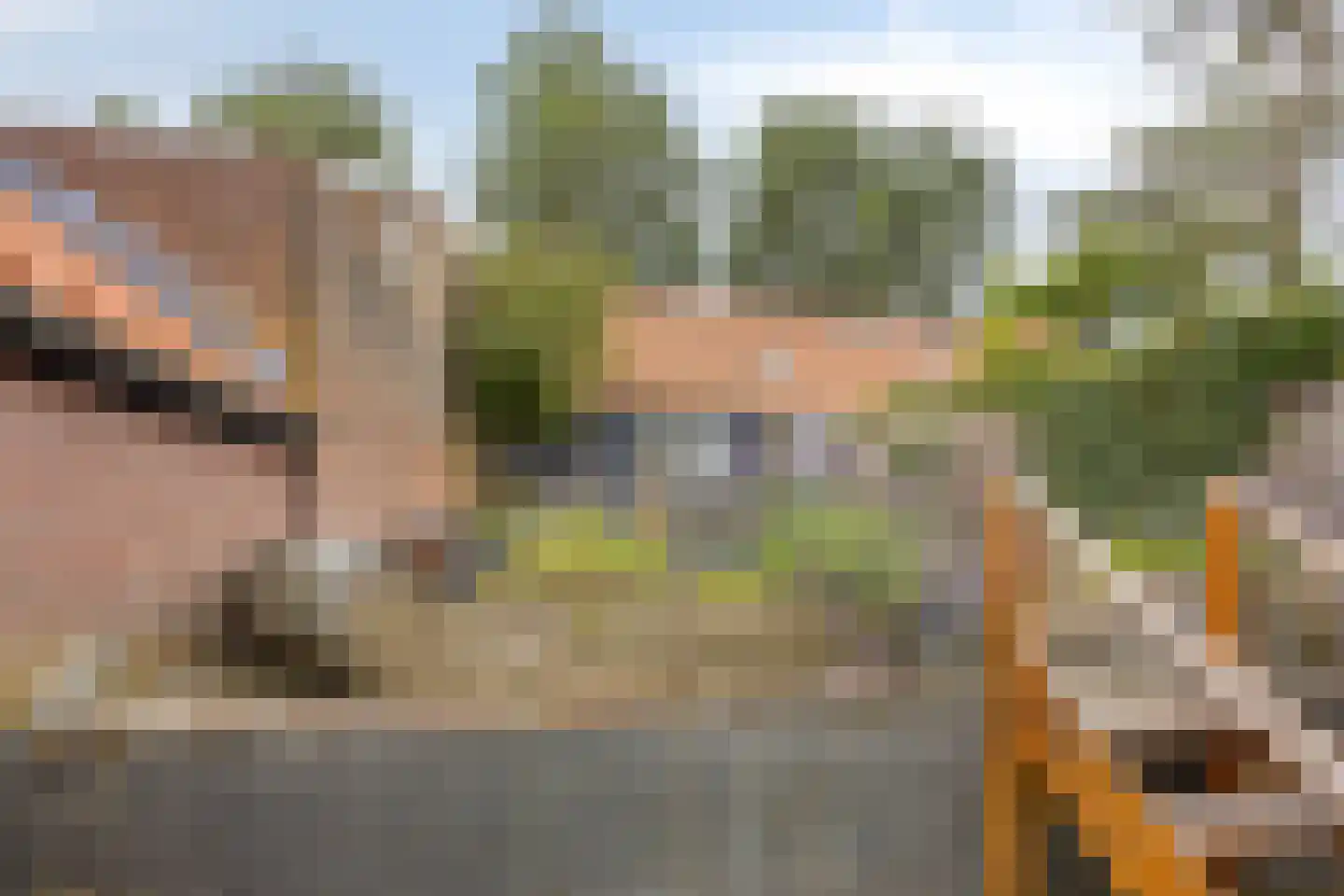 Oostdijk 85 Middelharnis thumbnail 25