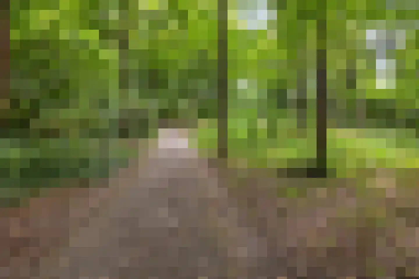 Oostdijk 85 Middelharnis thumbnail 28