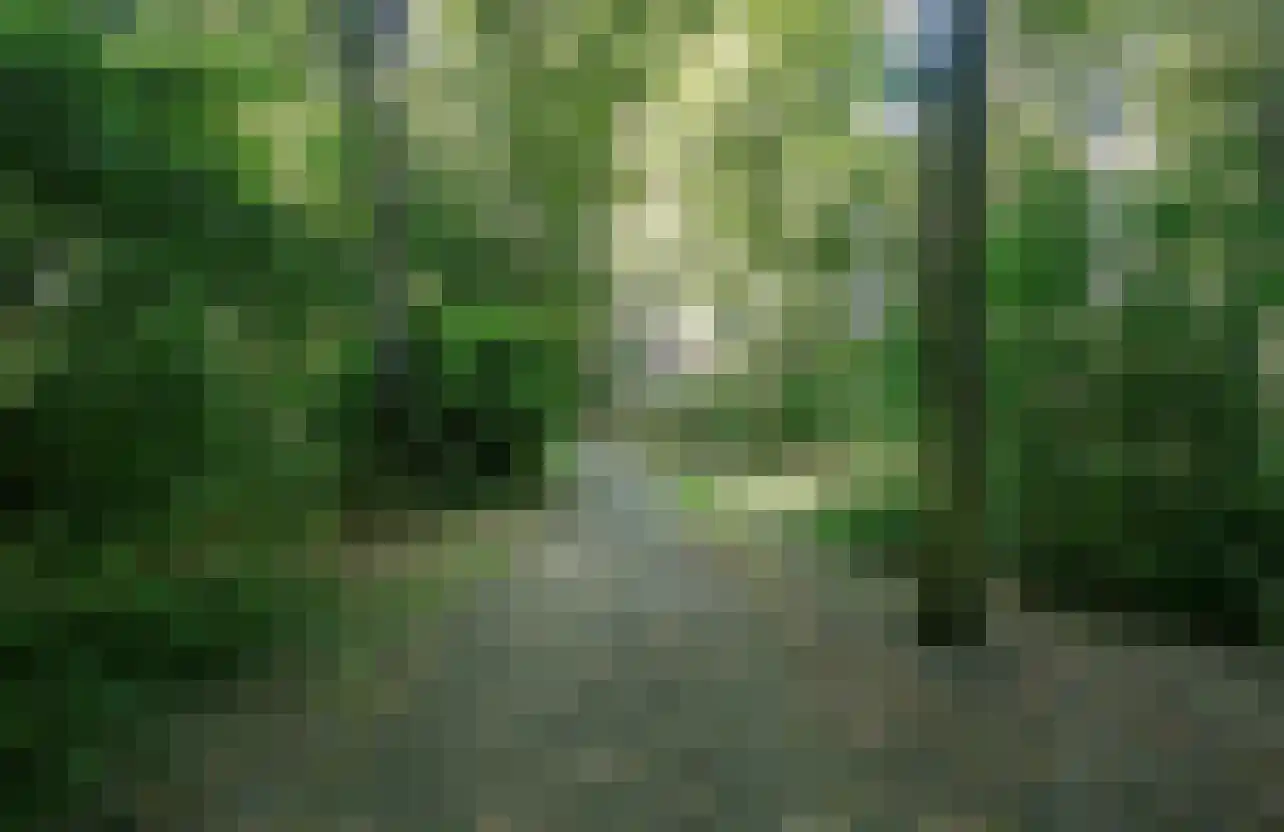 Oostdijk 85 Middelharnis thumbnail 28