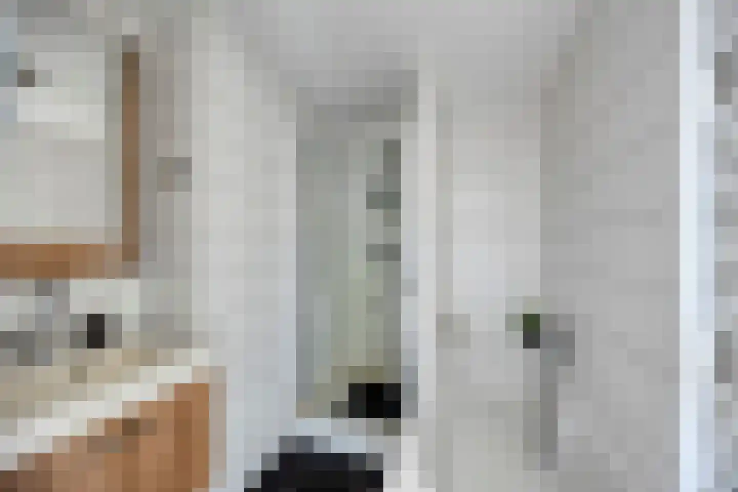 Oostdijk 85 Middelharnis thumbnail 4