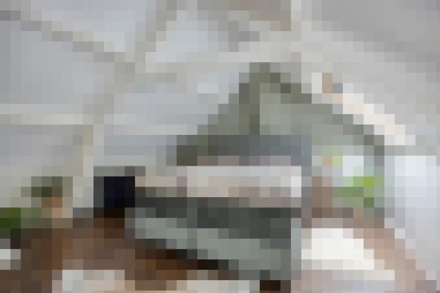 Oostdijk 85 Middelharnis thumbnail 5