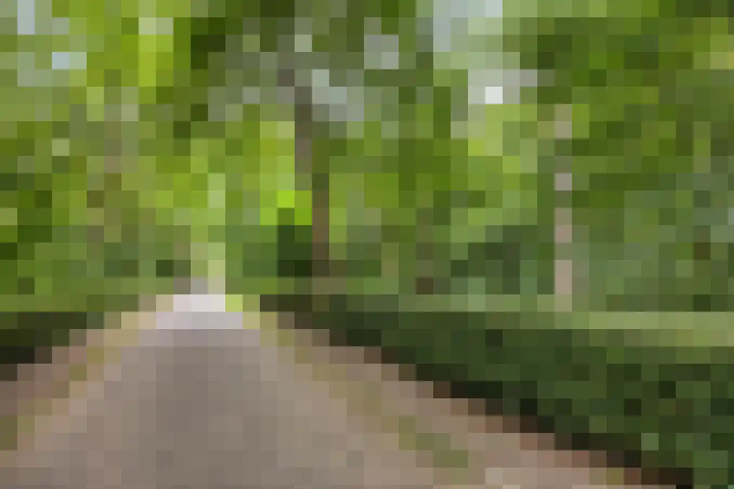 Oostdijk 85 Middelharnis thumbnail 6