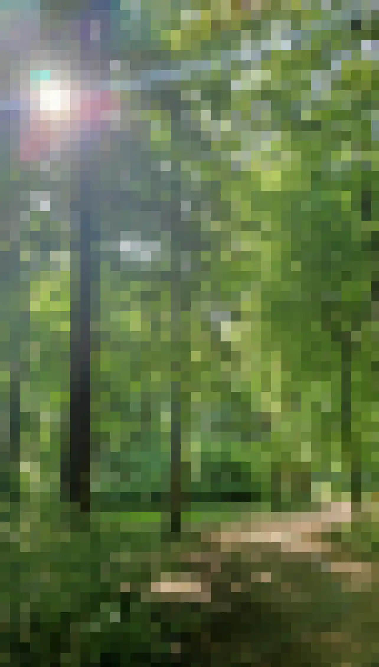 Oostdijk 85 Middelharnis thumbnail 6