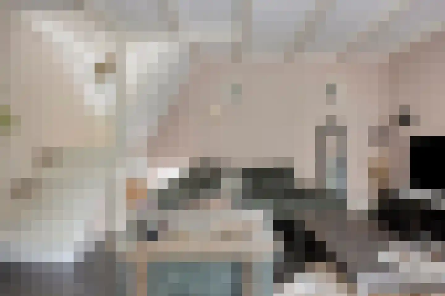 Oostdijk 85 Middelharnis thumbnail 9