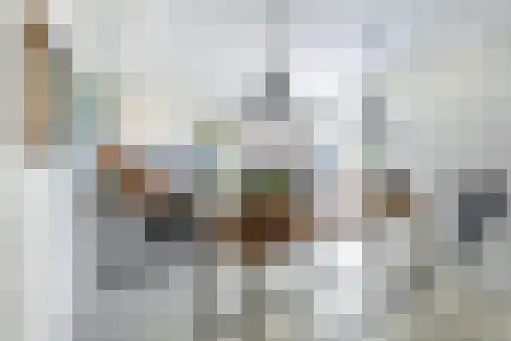 Oostdijkseweg 43 Goedereede thumbnail 10