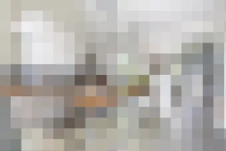 Oostdijkseweg 43 Goedereede thumbnail 11