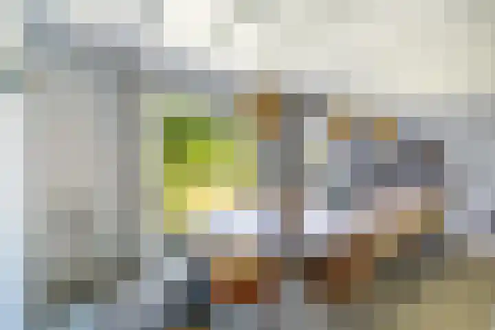 Oostdijkseweg 43 Goedereede thumbnail 15