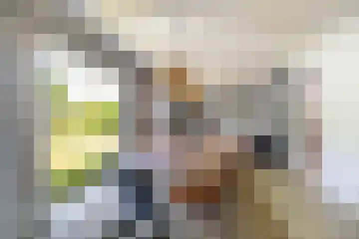 Oostdijkseweg 43 Goedereede thumbnail 16