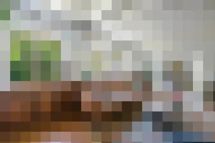 Oostdijkseweg 43 Goedereede thumbnail 17