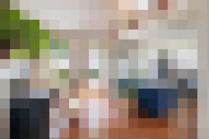 Oostdijkseweg 43 Goedereede thumbnail 24