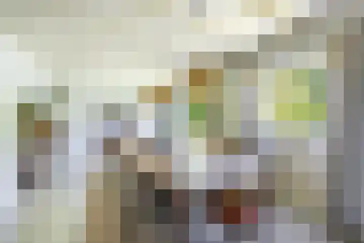 Oostdijkseweg 43 Goedereede thumbnail 4