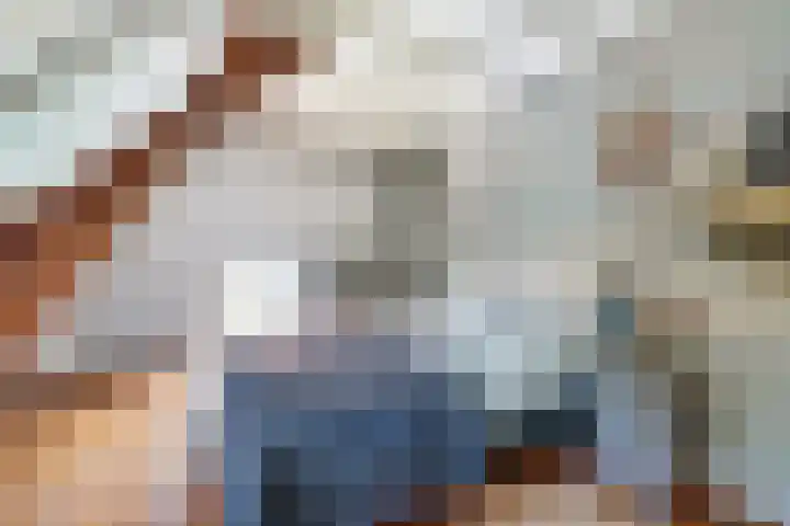 Oostdijkseweg 43 Goedereede thumbnail 42