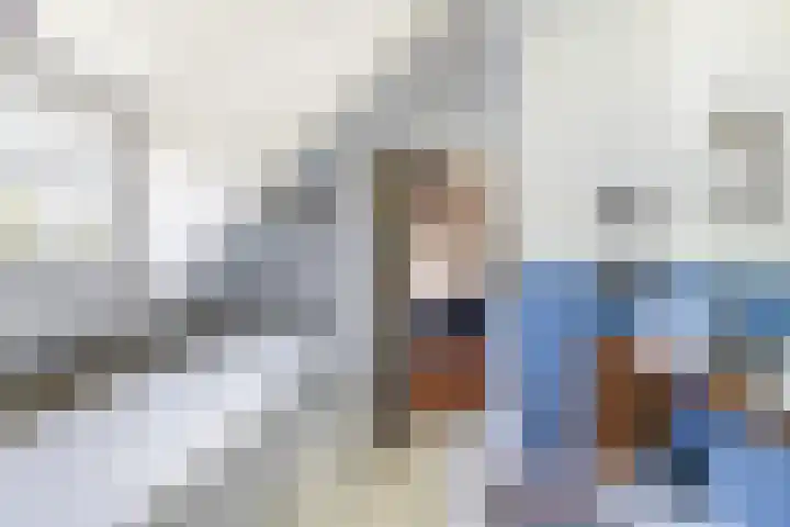 Oostdijkseweg 43 Goedereede thumbnail 46