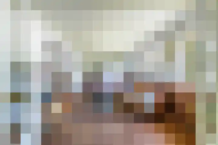 Oostdijkseweg 43 Goedereede thumbnail 5