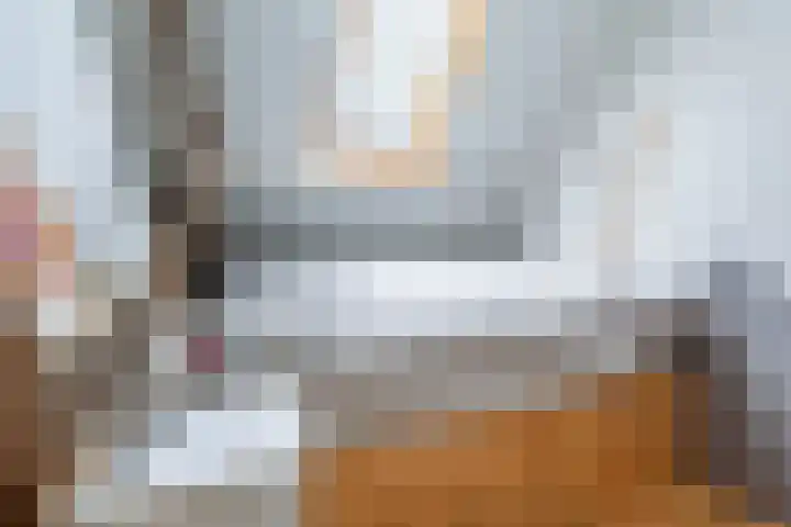 Oostdijkseweg 43 Goedereede thumbnail 55