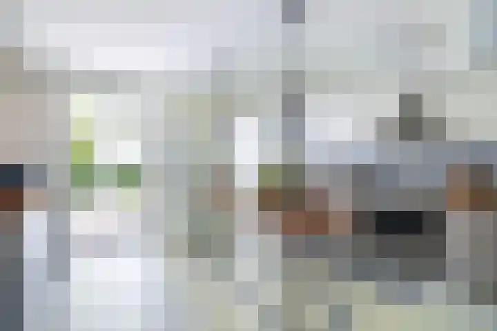Oostdijkseweg 43 Goedereede thumbnail 6