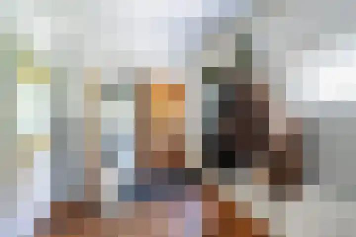 Oostdijkseweg 43 Goedereede thumbnail 61
