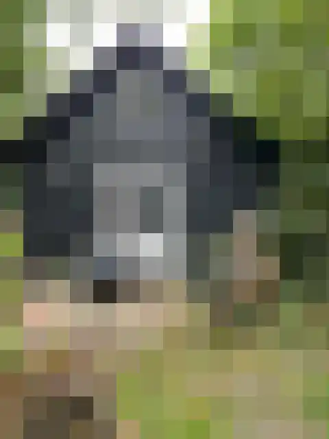 Oostdijkseweg 43 Goedereede thumbnail 67