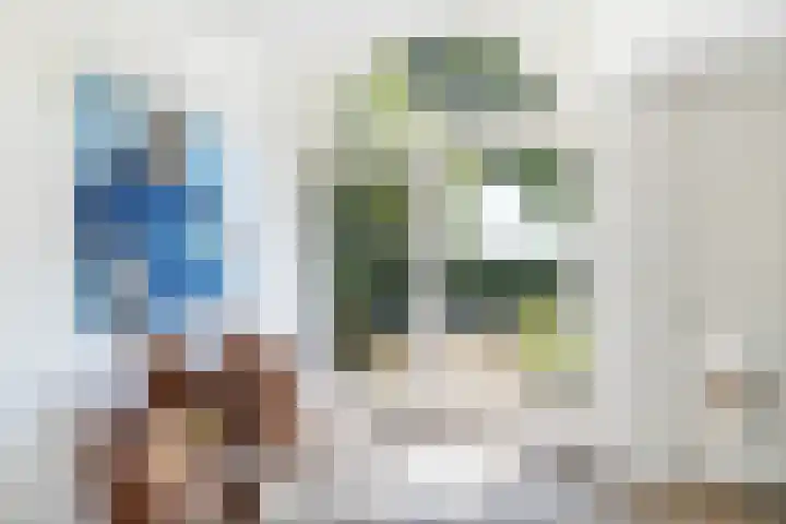 Oostdijkseweg 43 Goedereede thumbnail 7