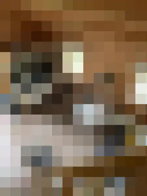 Oostdijkseweg 43 Goedereede thumbnail 70