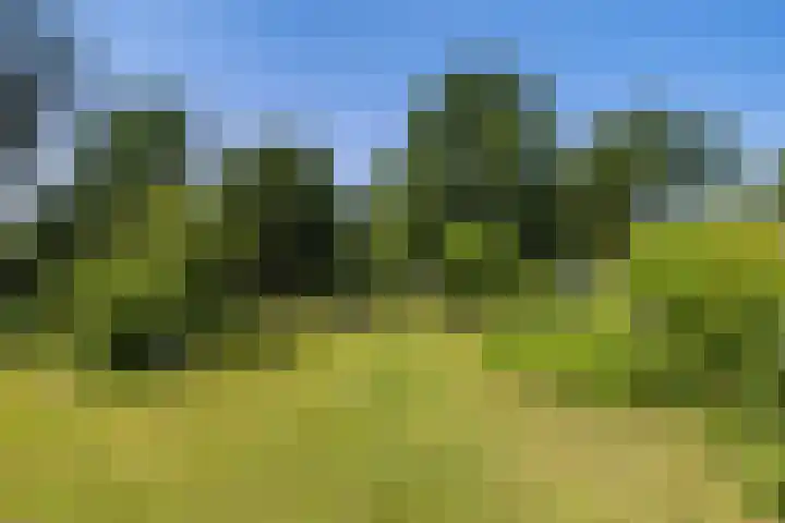 Oostdijkseweg 43 Goedereede thumbnail 79