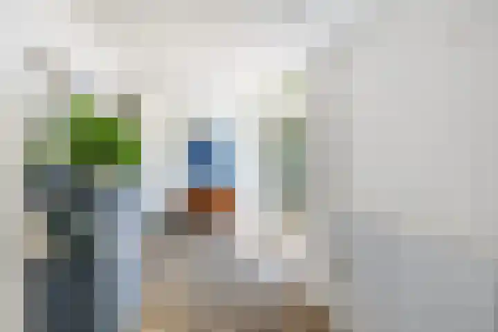 Oostdijkseweg 43 Goedereede thumbnail 8