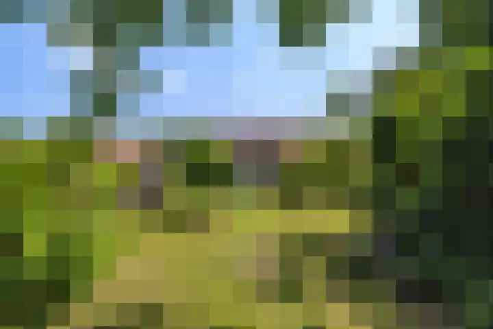 Oostdijkseweg 43 Goedereede thumbnail 80