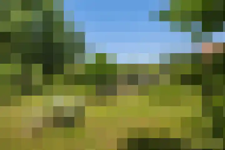 Oostdijkseweg 43 Goedereede thumbnail 81