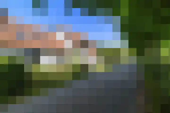 Oostdijkseweg 43 Goedereede thumbnail 82