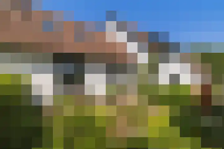 Oostdijkseweg 43 Goedereede thumbnail 83