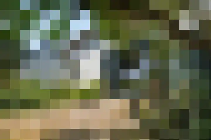 Oostdijkseweg 43 Goedereede thumbnail 84