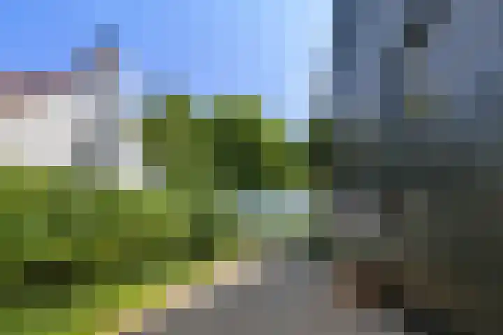 Oostdijkseweg 43 Goedereede thumbnail 86