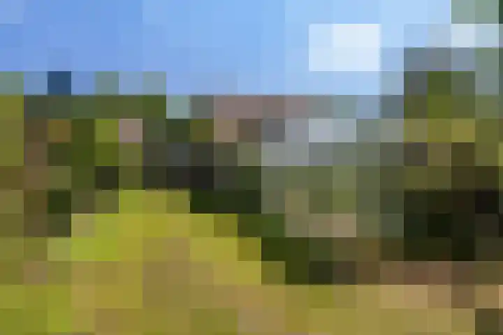 Oostdijkseweg 43 Goedereede thumbnail 87