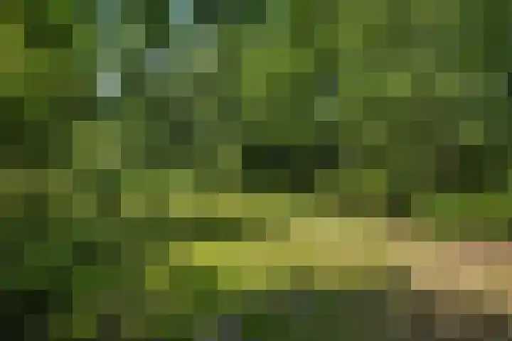 Oostdijkseweg 43 Goedereede thumbnail 88