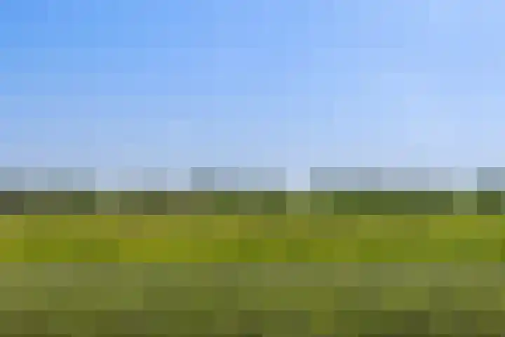 Oostdijkseweg 43 Goedereede thumbnail 89
