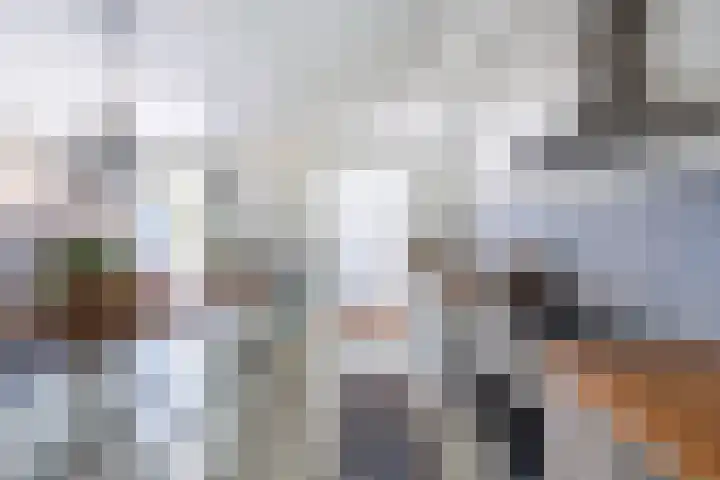 Oostdijkseweg 43 Goedereede thumbnail 9