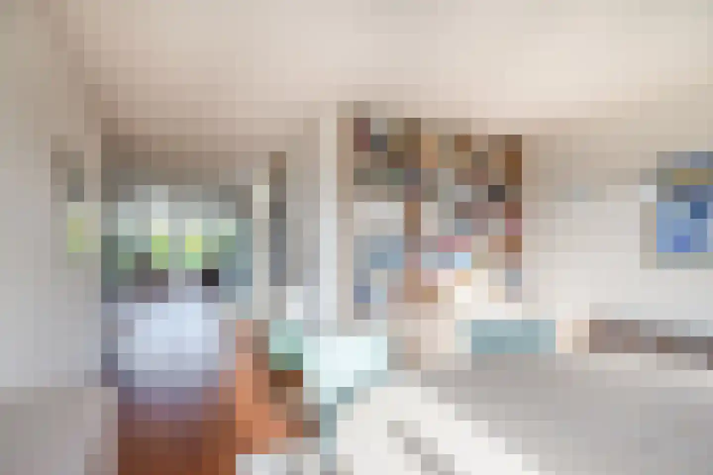 Oostdijkseweg 47 Goedereede thumbnail 17