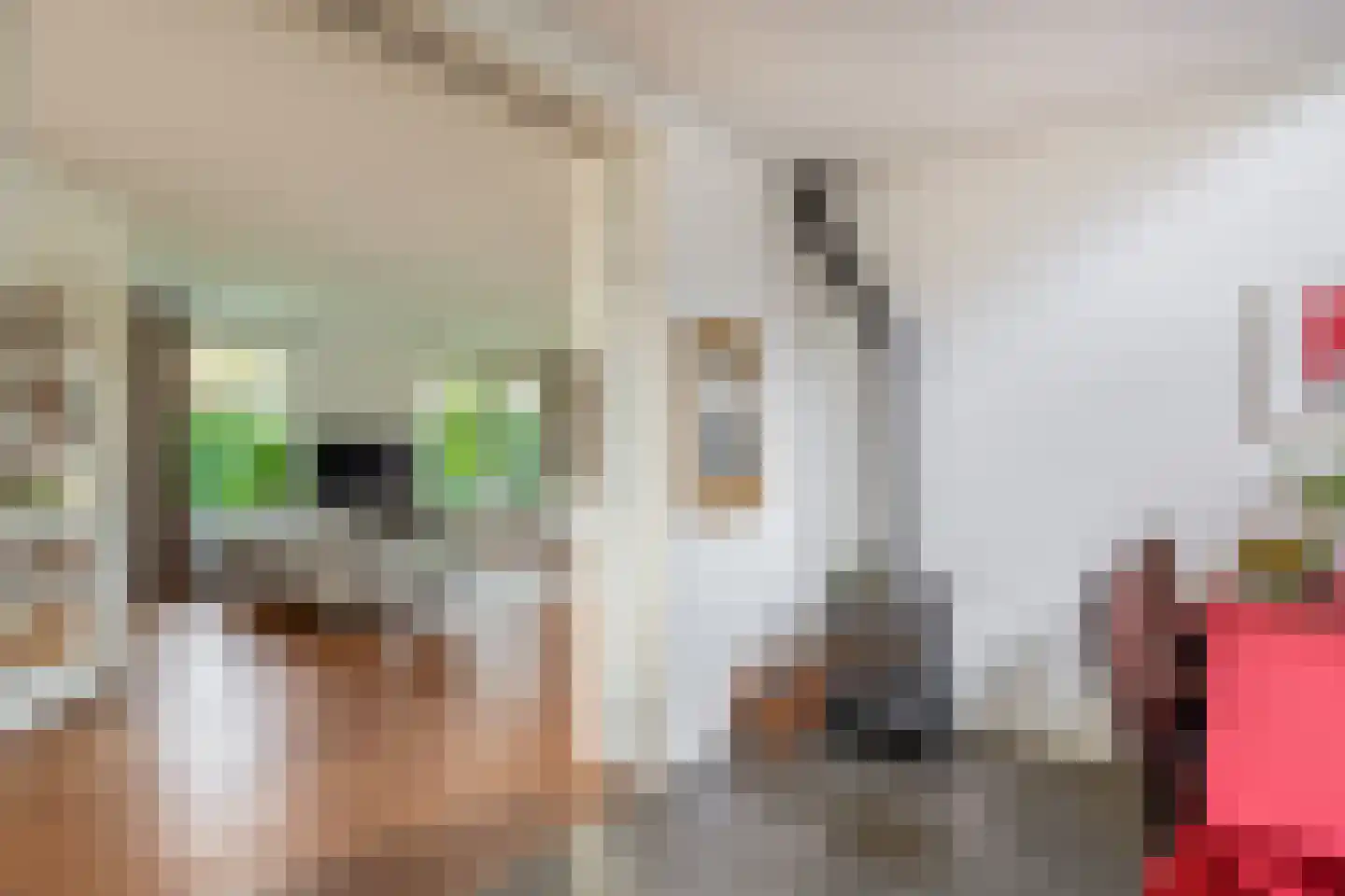 Oostdijkseweg 47 Goedereede thumbnail 18