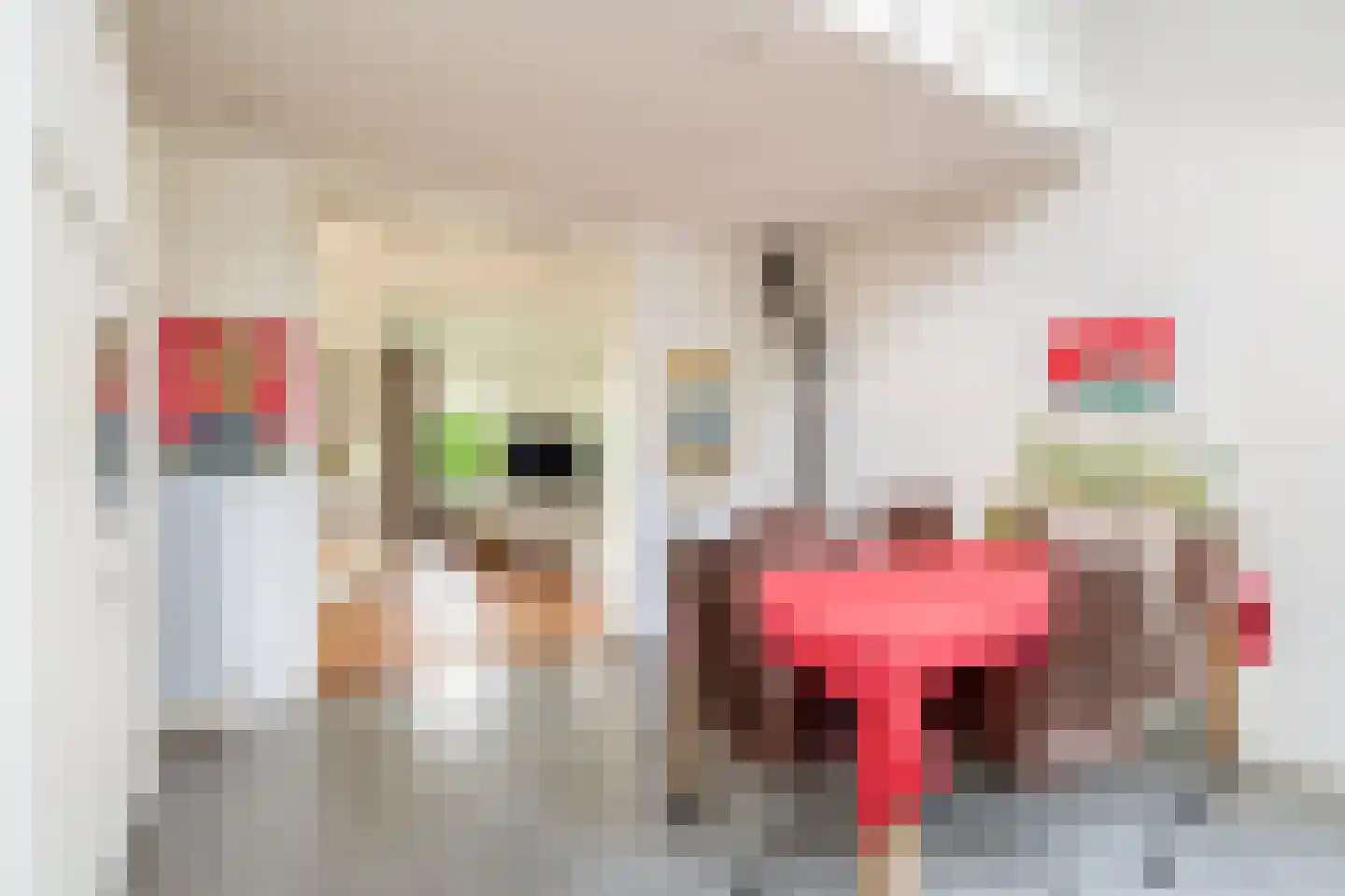 Oostdijkseweg 47 Goedereede thumbnail 19