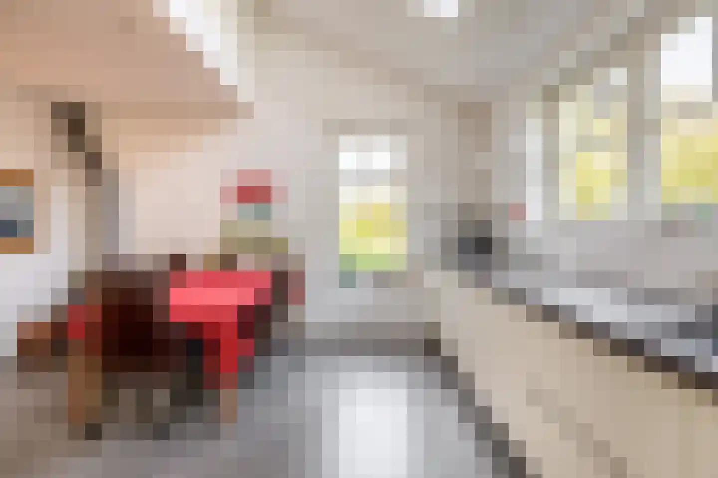 Oostdijkseweg 47 Goedereede thumbnail 20