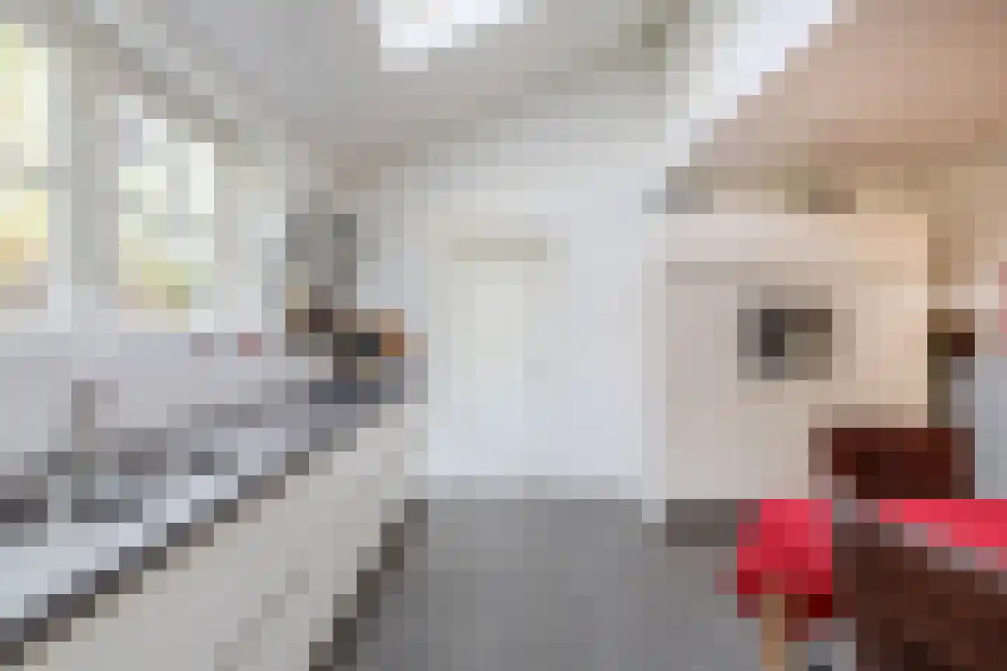 Oostdijkseweg 47 Goedereede thumbnail 21