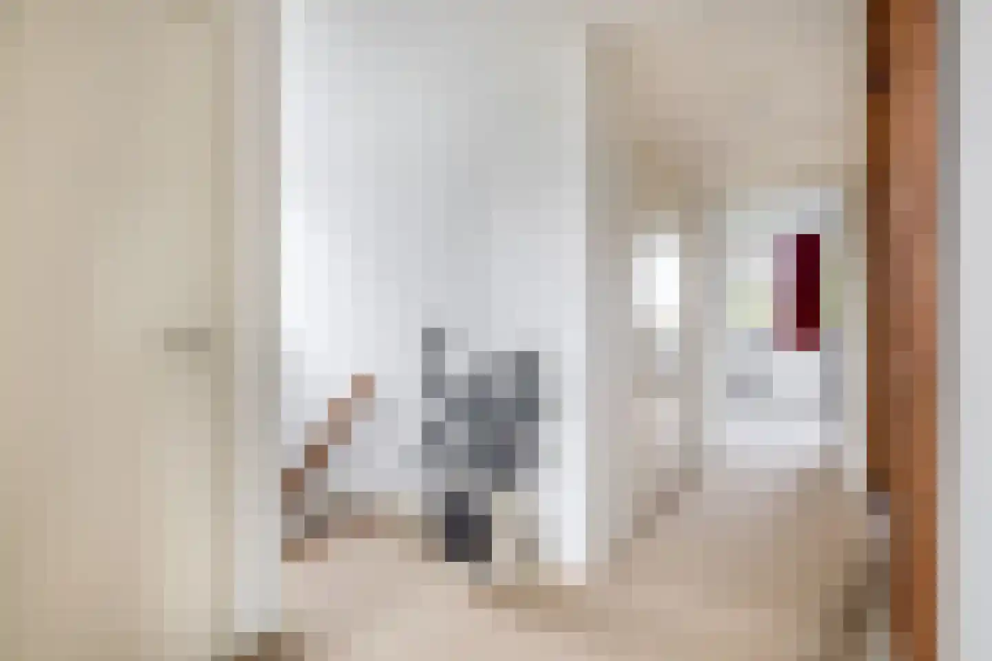 Oostdijkseweg 47 Goedereede thumbnail 23