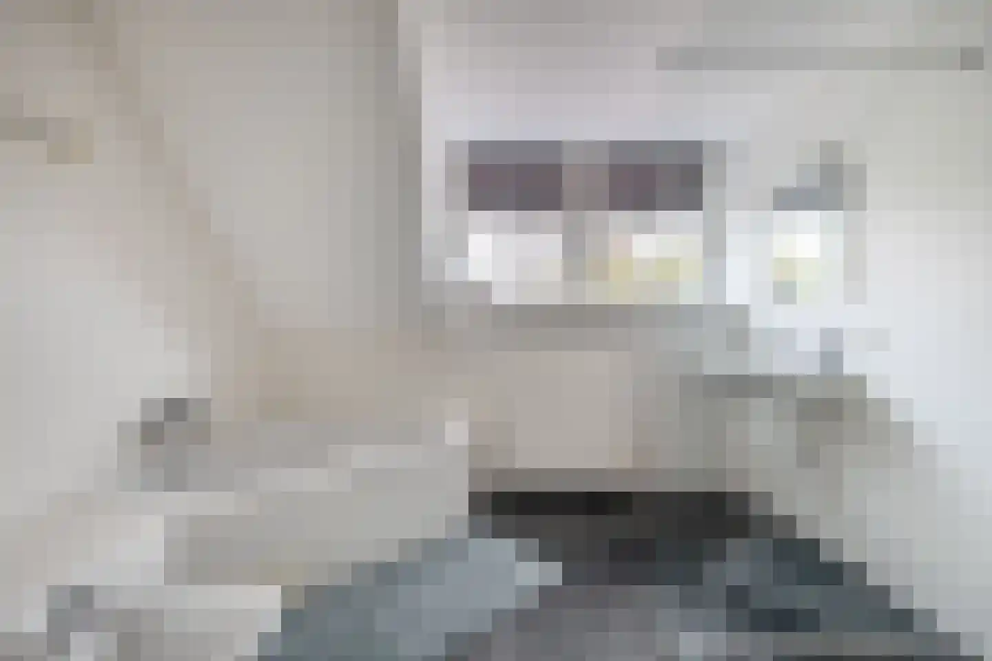 Oostdijkseweg 47 Goedereede thumbnail 33