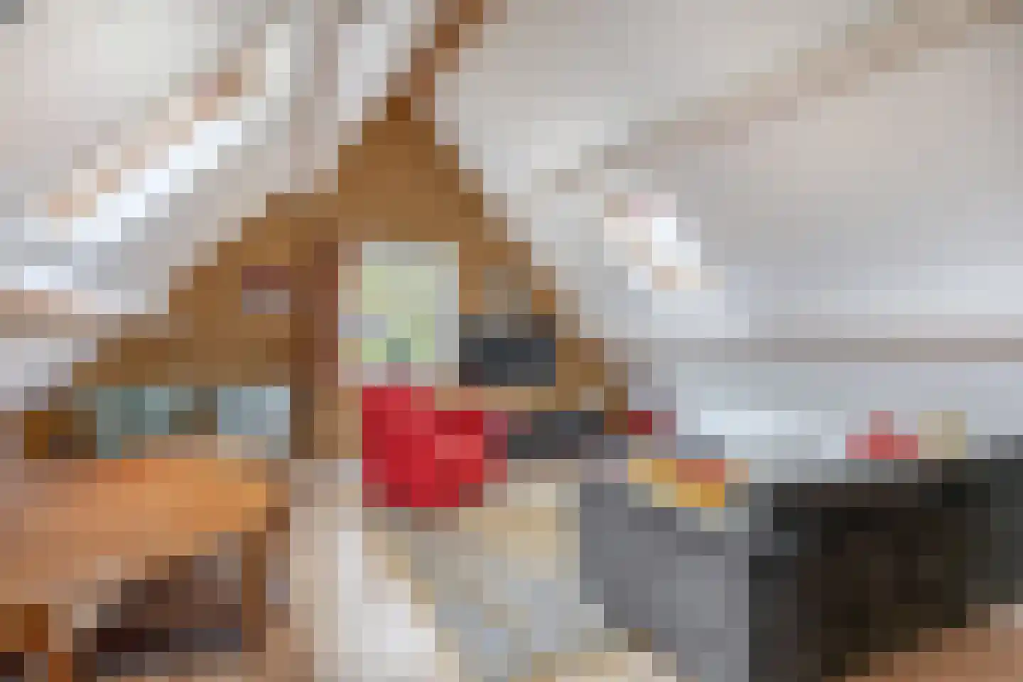 Oostdijkseweg 47 Goedereede thumbnail 37