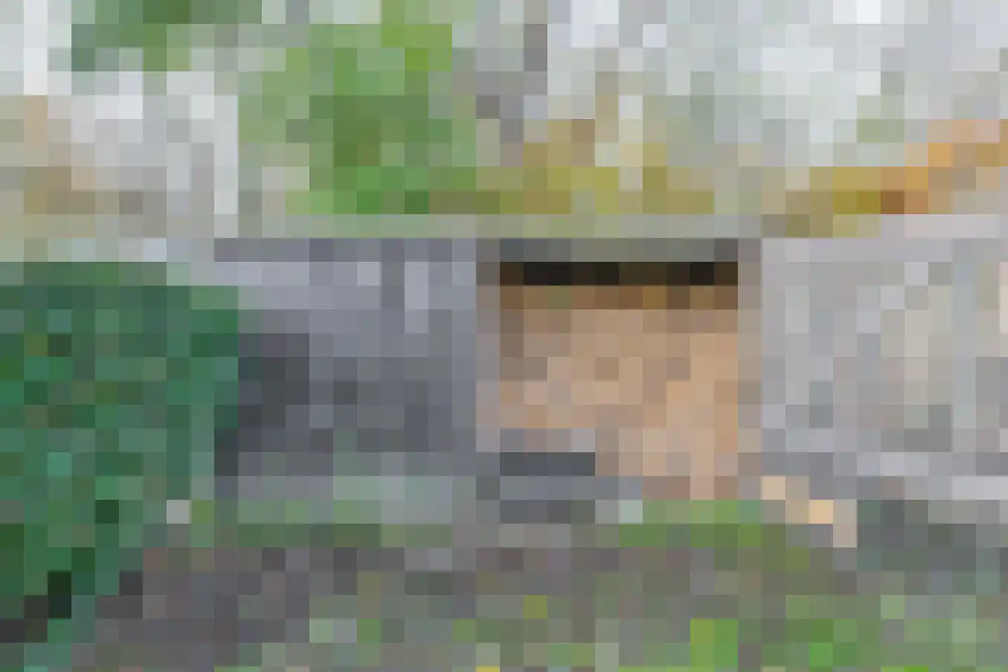 Oostdijkseweg 47 Goedereede thumbnail 50